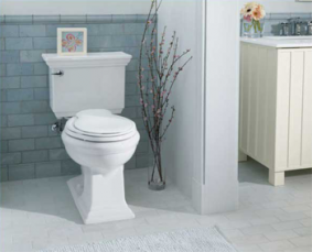 Champion Toilet installations